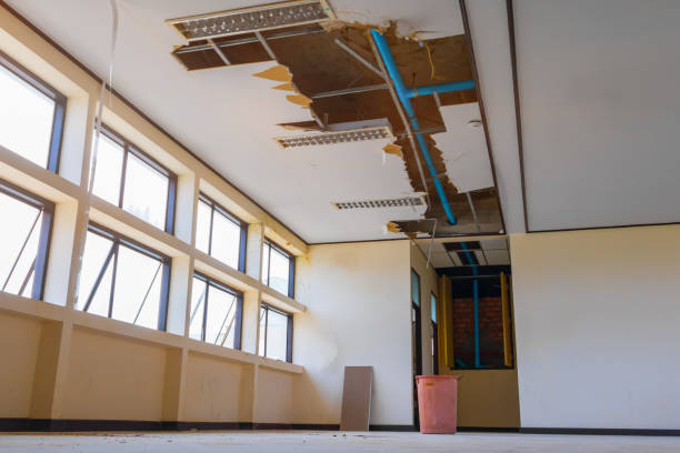 Best Flood damage cleanup  in Ukiah, CA