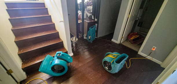 Best Ceiling water damage repair  in Ukiah, CA