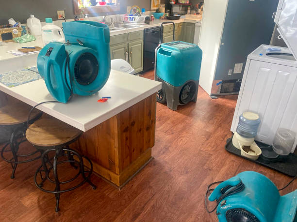 Best Fire Damage Restoration  in Ukiah, CA