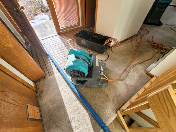 Best Fire Damage Restoration  in Ukiah, CA