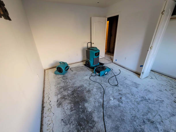 Best Water damage contractors near me  in Ukiah, CA