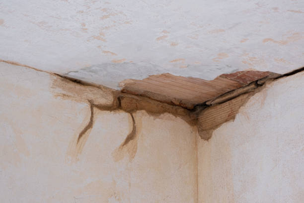 Best Water damage restoration near me  in Ukiah, CA