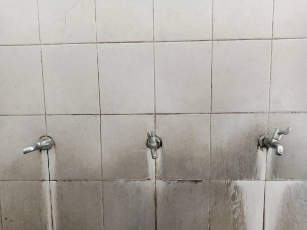  Ukiah, CA Water damage restoration Pros